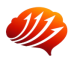Brain Aware